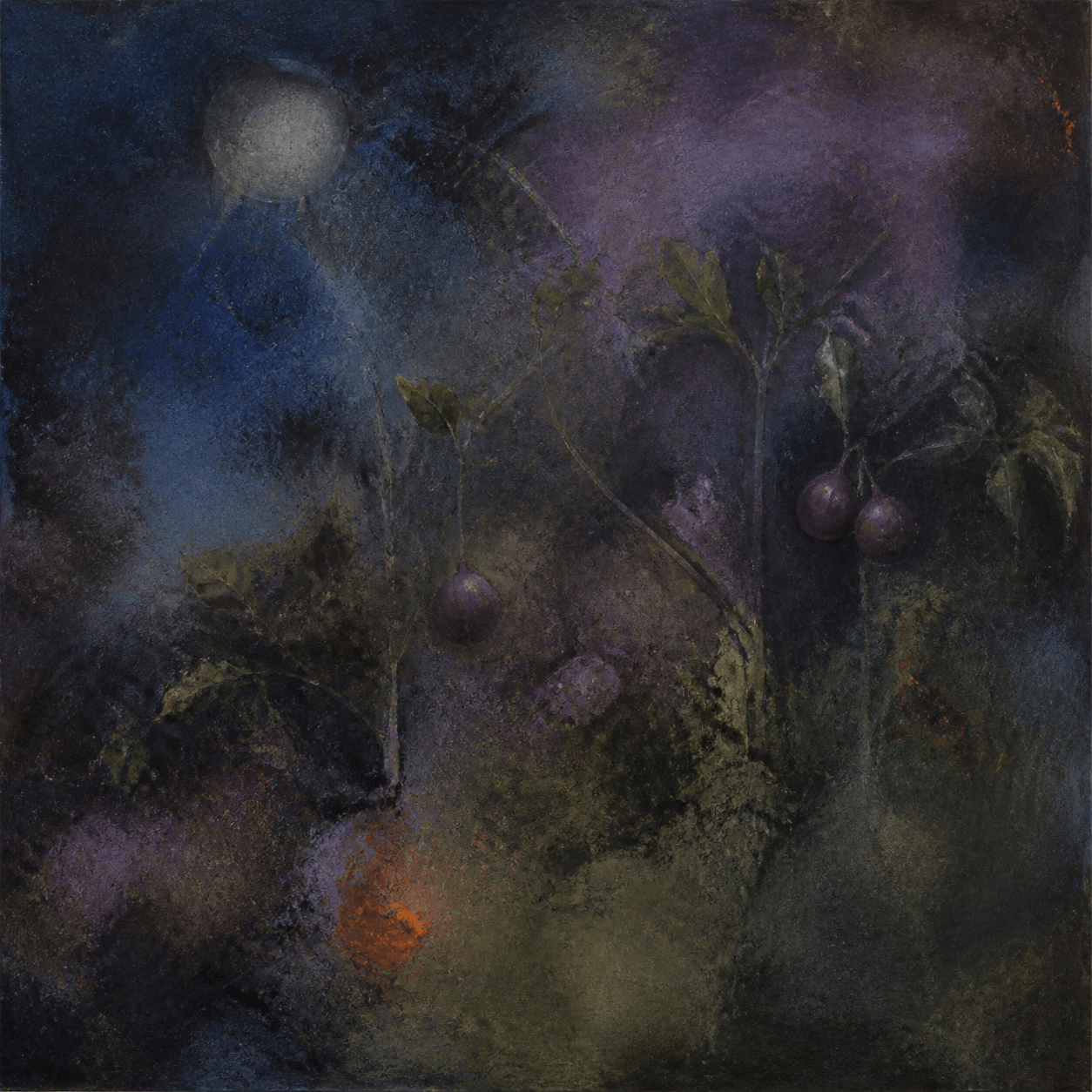 Night Orchard